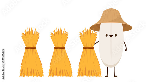 Rice character design. rice vector on white background. rice seed. Wheat straw.