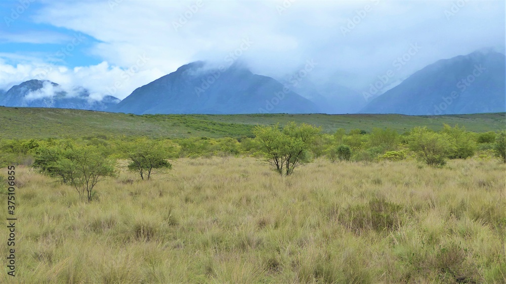 Obraz premium Misty Mountains and Savanna, Bontebok NP, South Africa