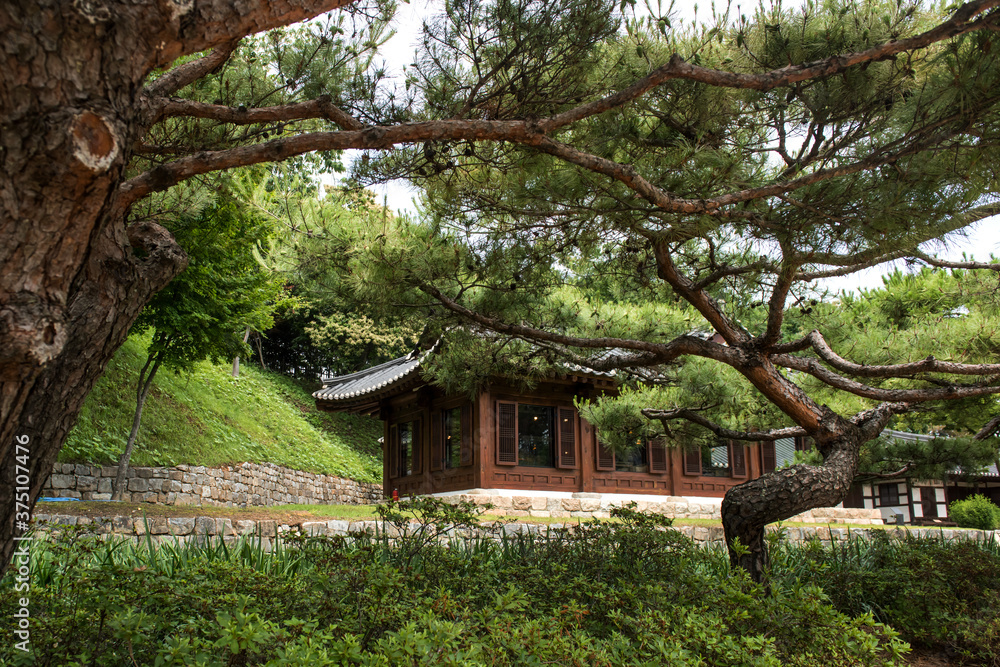 The beautiful traditional house, garden and forest at summer. The beautiful traditional house, garden and forest at summer.