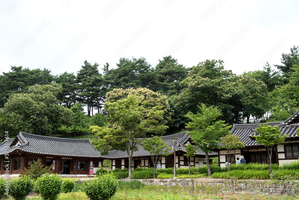 The beautiful traditional house, garden  and forest  at summer.