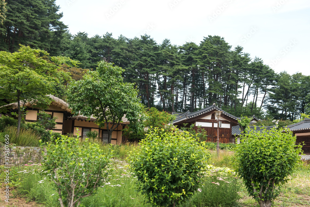 The beautiful traditional house, garden  and forest  at summer.