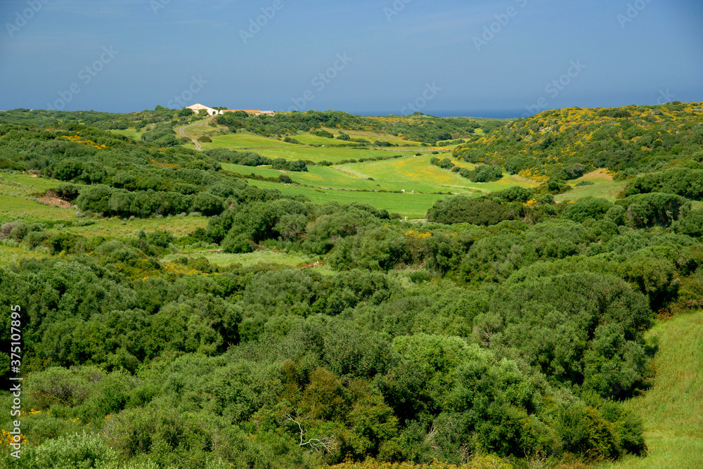 Parc natural de s' Albufera des Grau.Menorca.Reserva de la Bioesfera.Illes Balears.España.