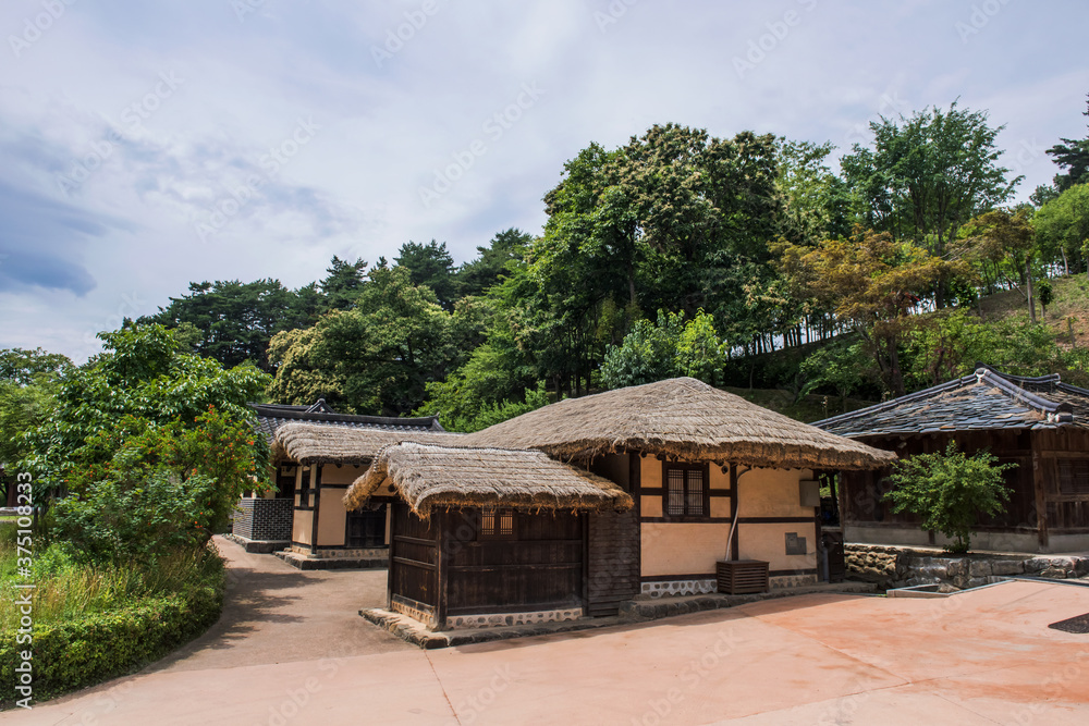 Fototapeta premium The beautiful traditional house, garden and forest at summer.