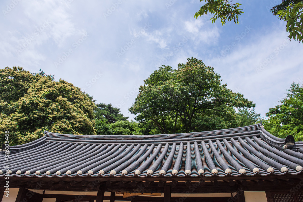 The beautiful traditional house, garden and forest at summer. The beautiful traditional house, garden and forest at summer.