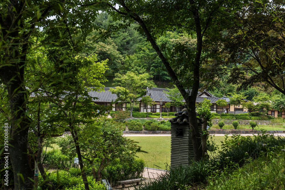 The beautiful traditional house, garden and forest at summer. The beautiful traditional house, garden and forest at summer.