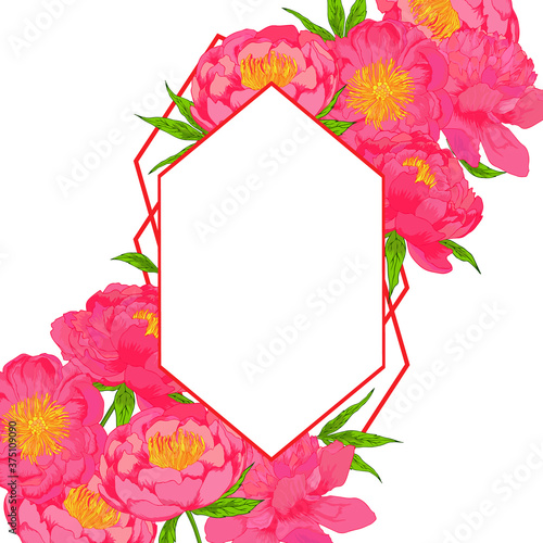 Vector peony plowers pink frame. Colorful template