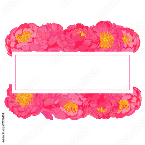 Vector peony plowers pink frame. Colorful template