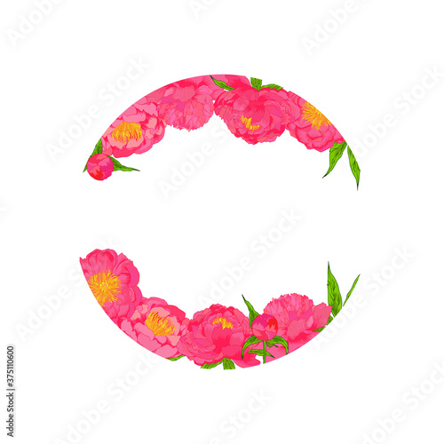 Vector peony plowers pink frame. Colorful template