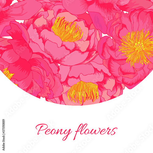 Vector peony plowers pink frame. Colorful template