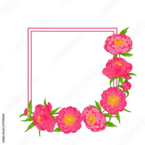 Vector peony plowers pink frame. Colorful template