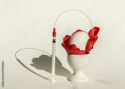 An egg and a insemination catheter photo