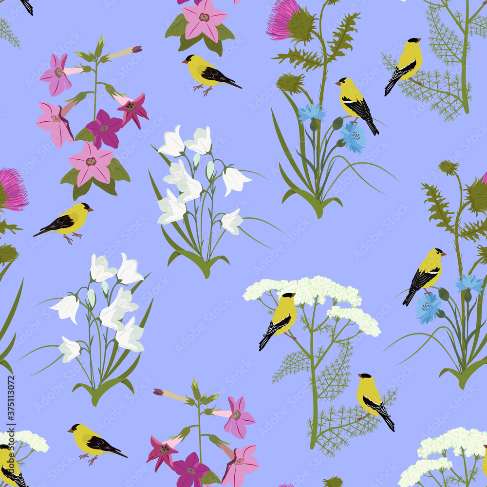 Seamless vector illustration with wildflowers and birds