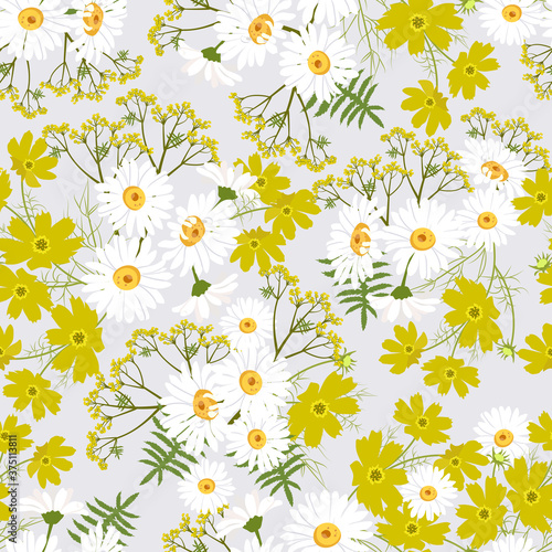 Seamless vector illustration with chamomile and cosme.