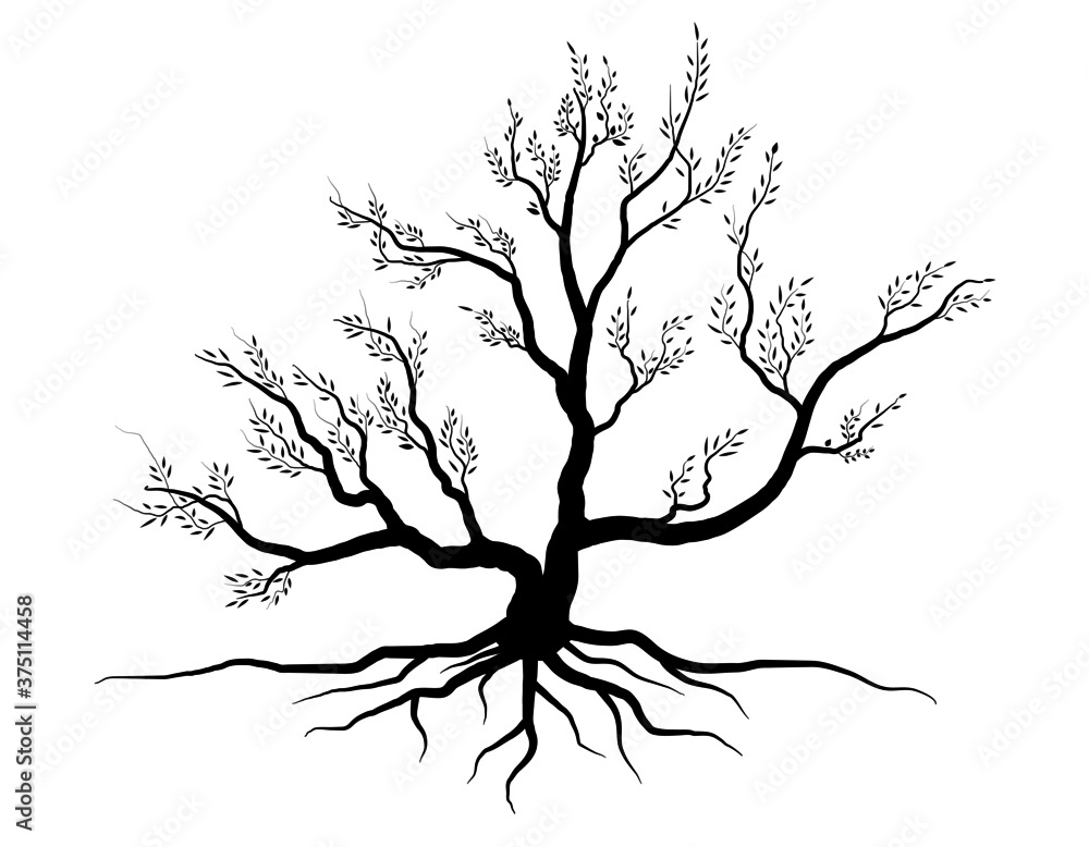 Fototapeta premium Black Branch Tree or Naked trees silhouettes. Hand drawn isolated illustrations.
