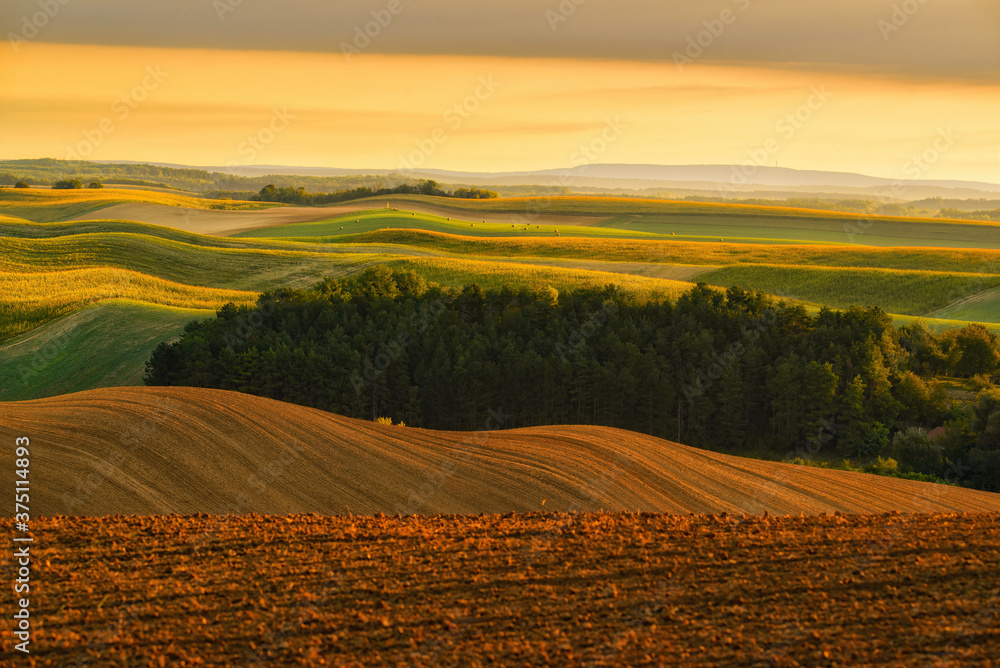 Fototapeta premium A beautiful landscape of the hills