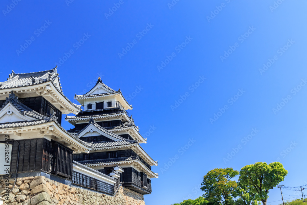 中津城　大分県中津市　Nakatsu Castle Ooita-ken Nakatsu city