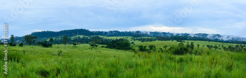 Wide panoramic view of meadow and mountains national park, Thailand.