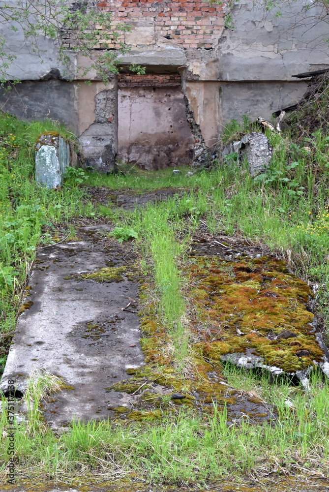 Fototapeta premium early summer landscape shots of the city