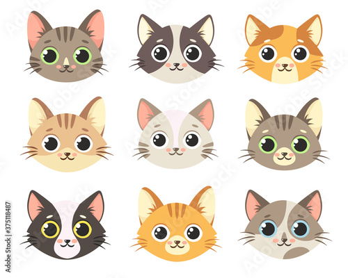 Cute cats collection. Cats faces. Isolated on white background. 