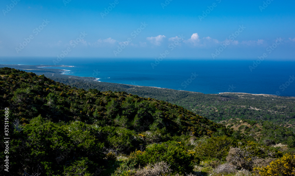 Cedar-covered hills on the Mediterranean coast on the island of Cyprus.