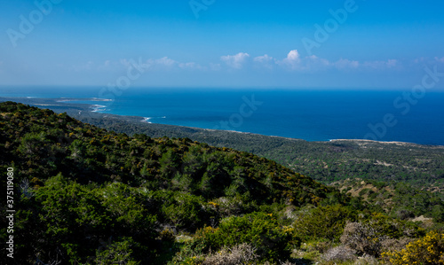 Cedar-covered hills on the Mediterranean coast on the island of Cyprus.