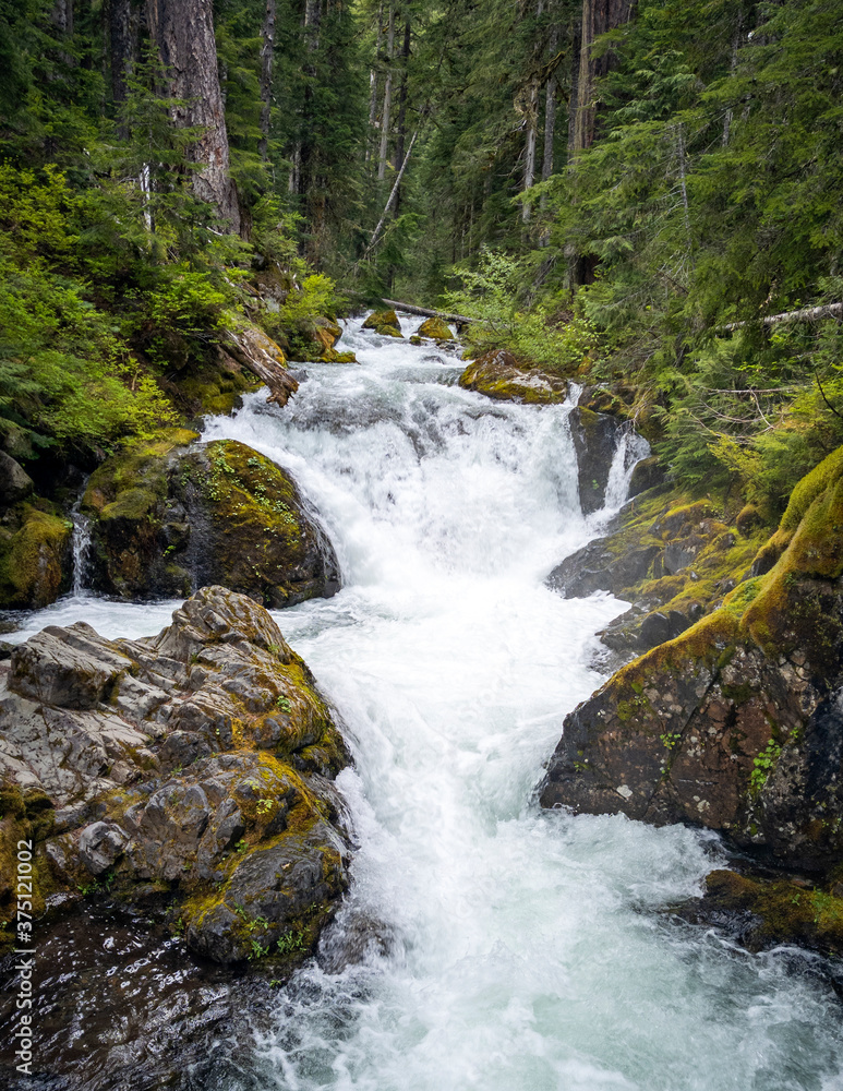 Gorgeous Deer Creek cascading and bursting thru the boulders and branches with a natural mountain setting in the Mount Rainier National Park in Washington State Gorgeous Deer Creek cascading and bursting thru the boulders and branches with a natural mountain setting in the Mount Rainier National Park in Washington State