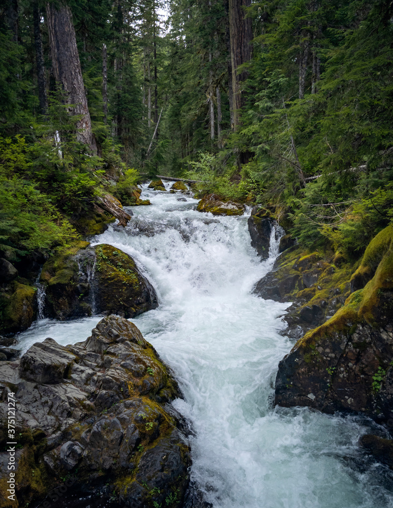 Gorgeous Deer Creek cascading and bursting thru the boulders and branches with a natural mountain setting in the Mount Rainier National Park in Washington State Gorgeous Deer Creek cascading and bursting thru the boulders and branches with a natural mountain setting in the Mount Rainier National Park in Washington State