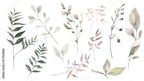 Set of watercolor leaves, herbs, branches.