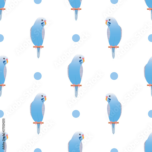 Cute blue budgerigar seamless pattern vector on isolated white background.