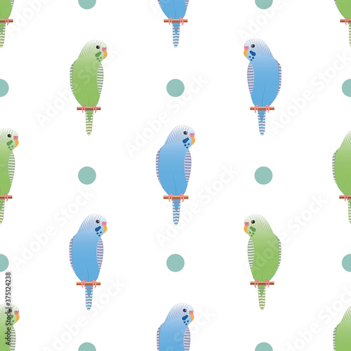 Cute green and blue budgerigar seamless pattern vector on isolated white background.