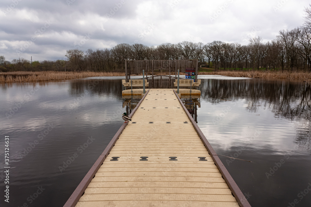 Fototapeta premium A little pier in a lake