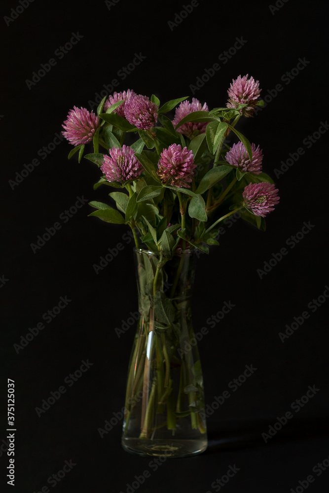 Fototapeta premium Clover on a black background