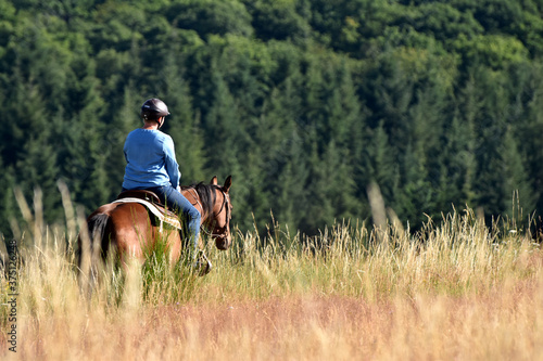 Geländeritt mit American Quarter Horse