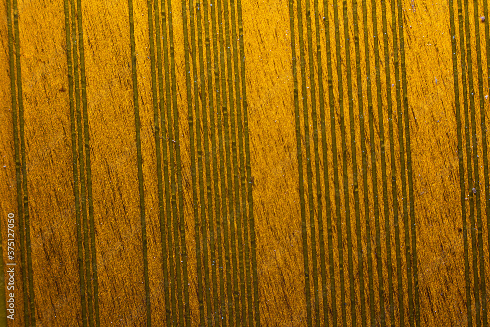 Fototapeta premium macro photo of the flat connector on the computer motherboard