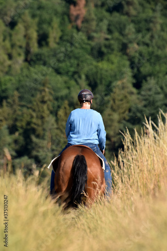 Geländeritt mit American Quarter Horse © lichtreflexe