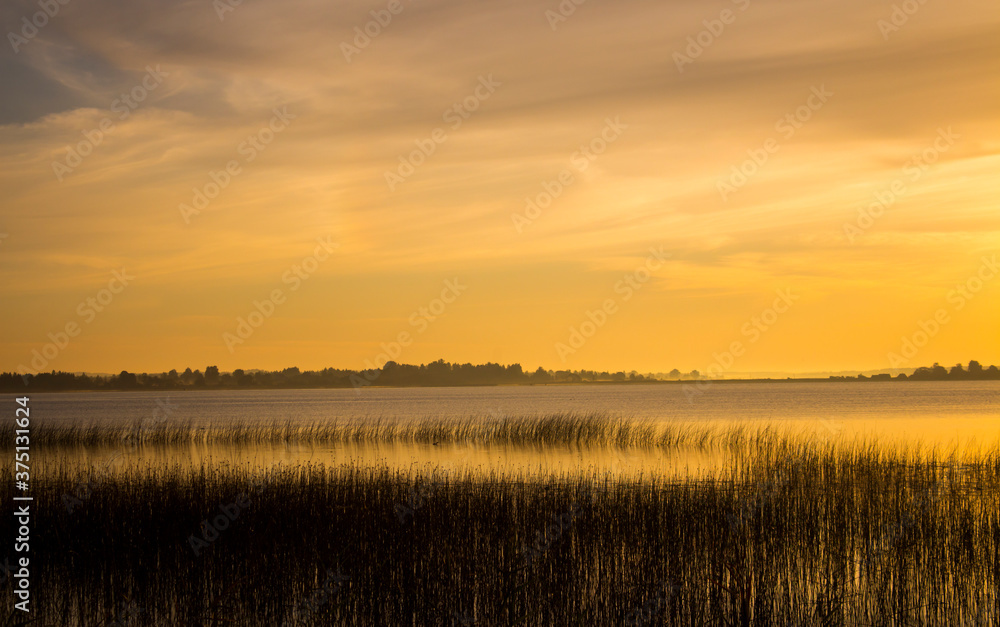 Fototapeta premium Summer lake at dawn, nature background.