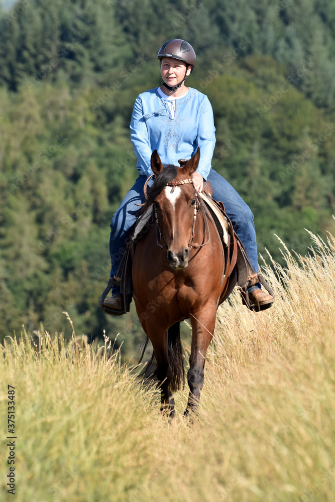 Geländeritt mit American Quarter Horse Geländeritt mit American Quarter Horse
