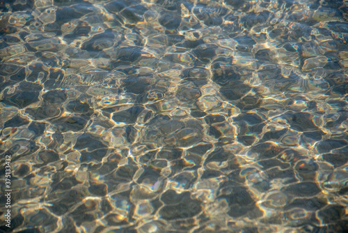 Full frame clear sea water with floating fish .