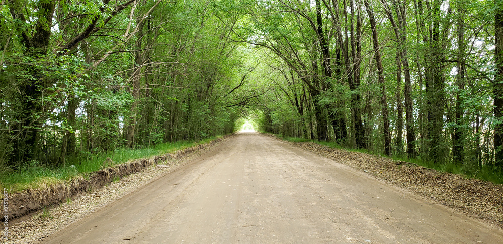 Obraz premium rural road