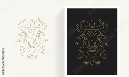 Zodiac taurus horoscope sign line art silhouette design vector illustration. photo