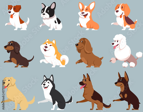 Dogs of different breeds giving paw. Big set of cute pets.