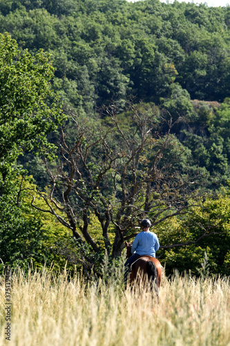 Geländeritt mit American Quarter Horse © lichtreflexe
