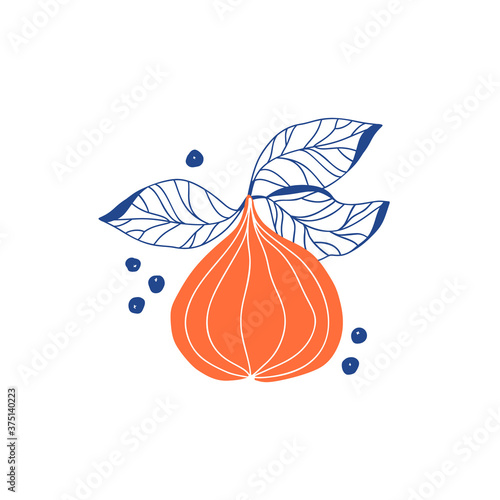 Abstract fig summer illustration