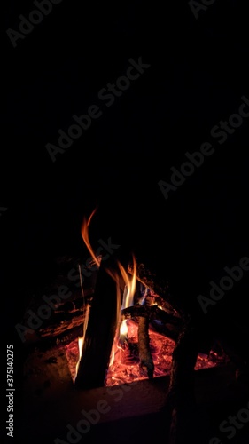 Obraz na płótnie Заголовок: Camp fire in the night. Bonfire. Flame and fire sparks on dark background. Black copy space.
w salonie