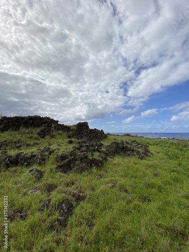 Lande rocheuse à l'île de Pâques 