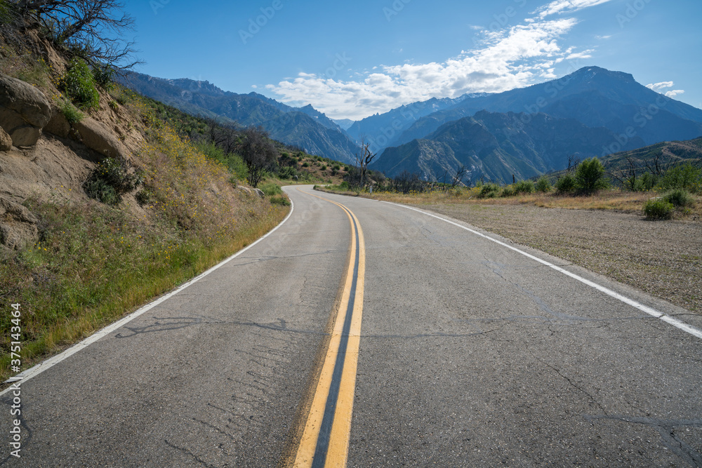 Fototapeta premium scenic road in kings canyon national park, usa