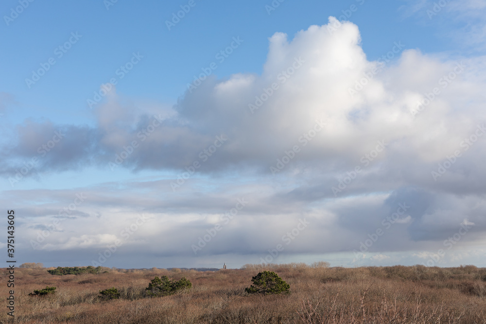 dune landscape with clouds. Domburg, Zeeland, The Netherlands 