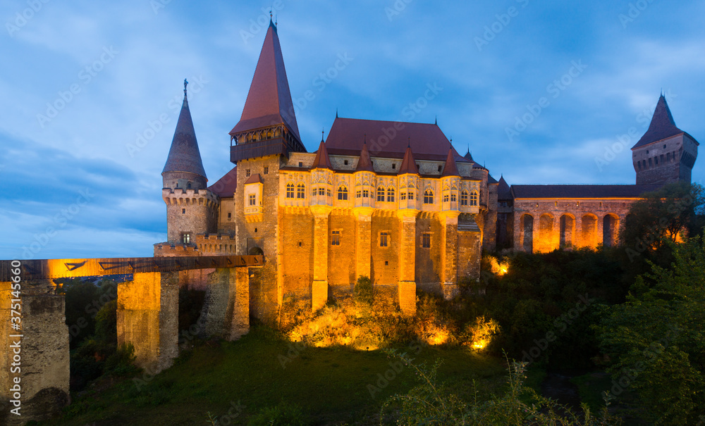 Corvin Castle is on the green mountain in night of Romania.