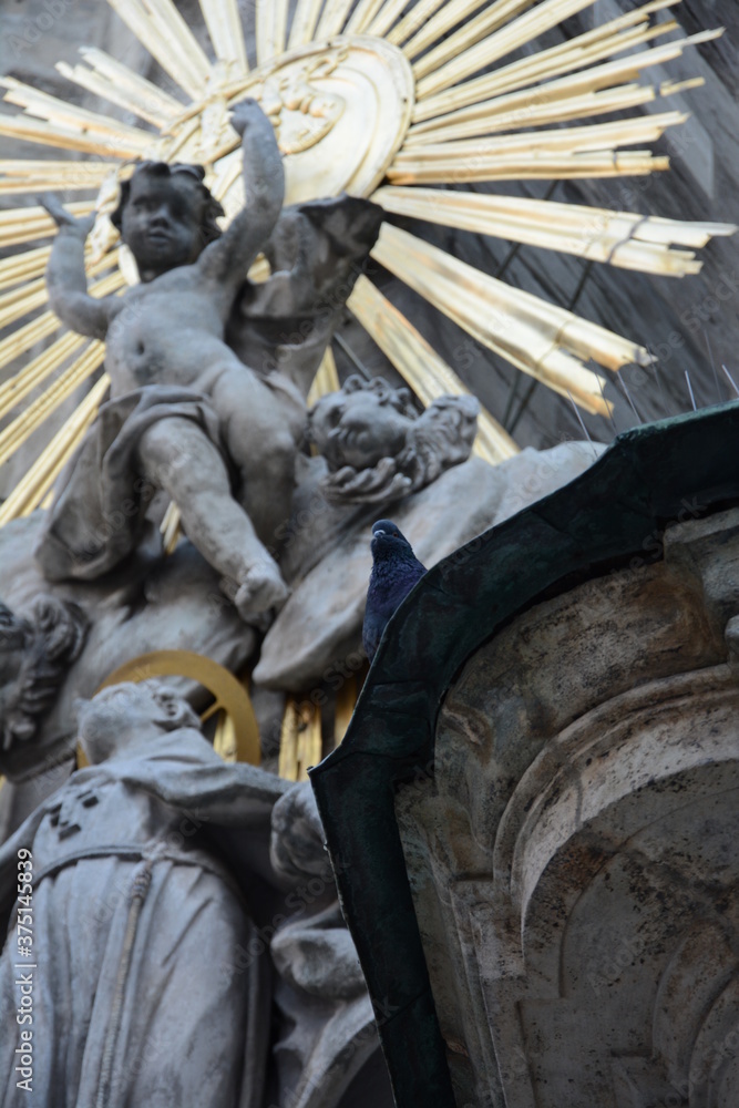 Pigeon on cathedral