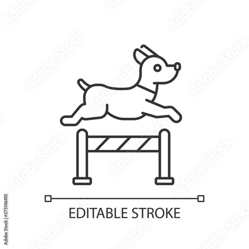 Pet training linear icon. Domestic animals discipline taming service thin line customizable illustration. Contour symbol. Dog jumping over obstacle vector isolated outline drawing. Editable stroke